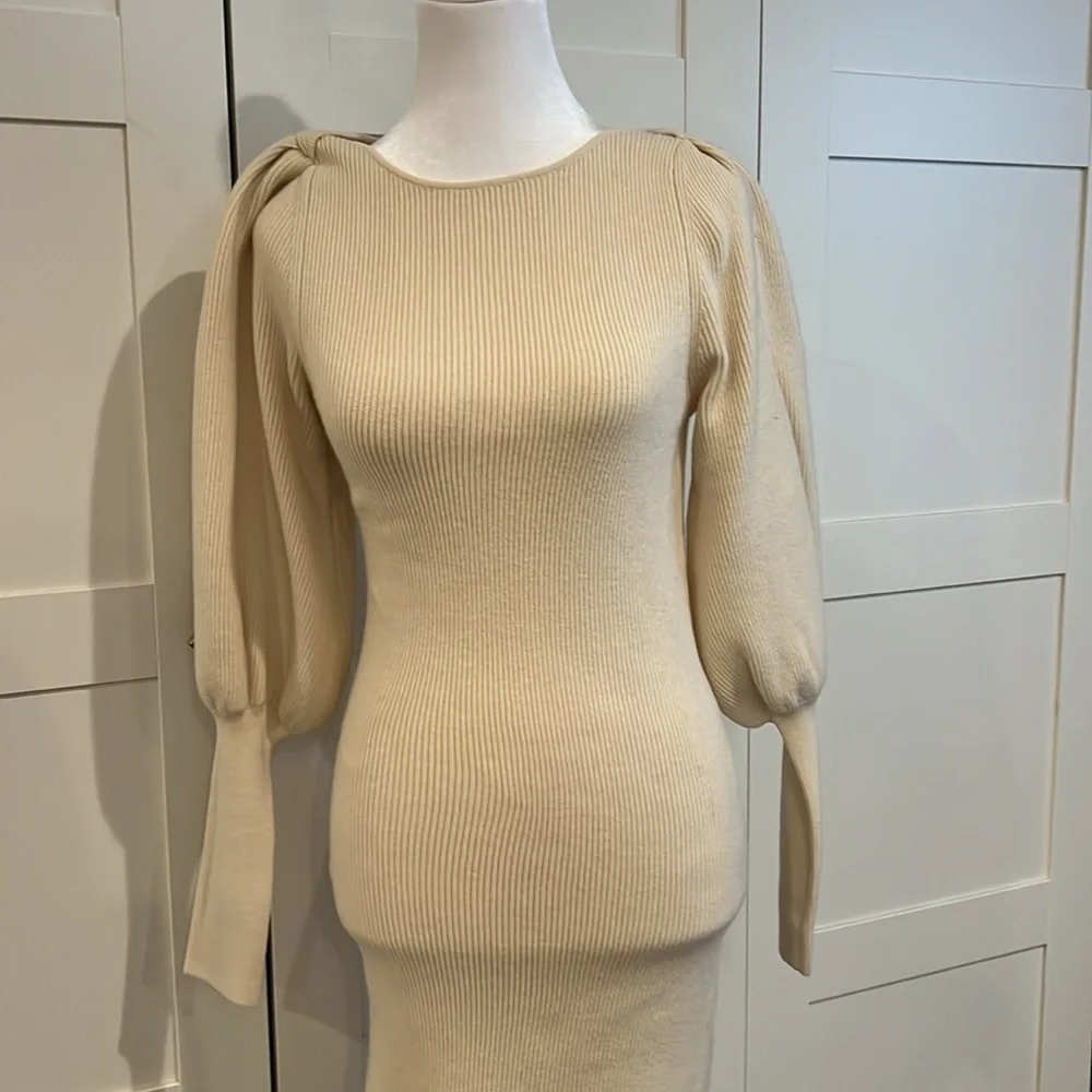 New! French Connection “Joss” midi dress NWT - Picture 4 of 5